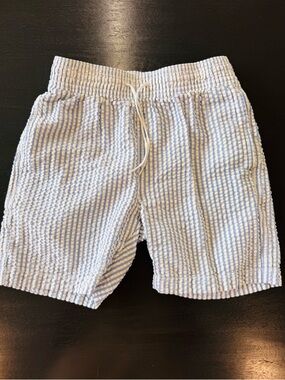 Boys Crewcuts Blue & White Seersucker Stripe swim trunks
